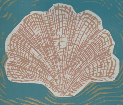 "Shimmy Shell" by Caroline Killhour